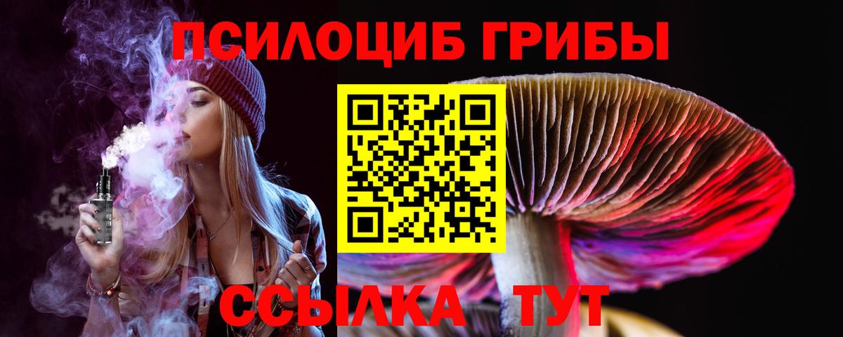 Псилоцибиновые грибы Magic Shrooms  Вход с VPN  Сыктывкар  Галлюциногенные грибы GOLDEN TEACHER 